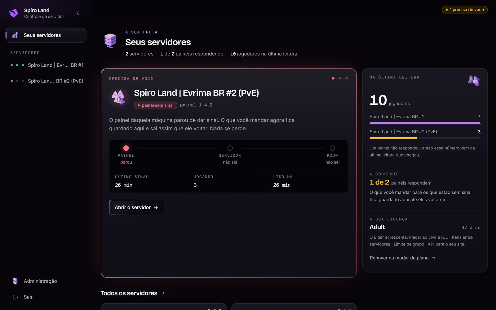 A tela Seus servidores do painel no site, com dois servidores e o estado de cada um